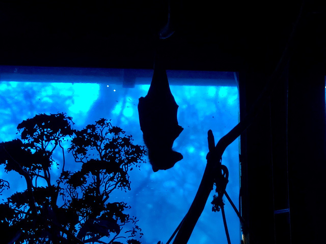 Course for testing purpose (certificate/ecom(discount))  09